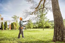 Best Tree Risk Assessment  in Rothsville, PA